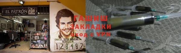 гашик Алексин