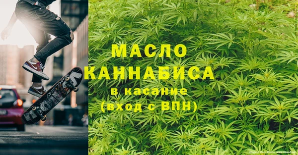 гашик Алексин