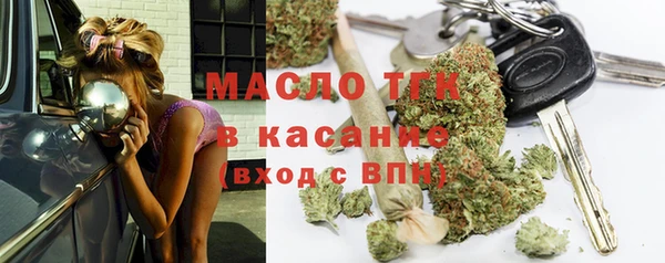 гашик Алексин