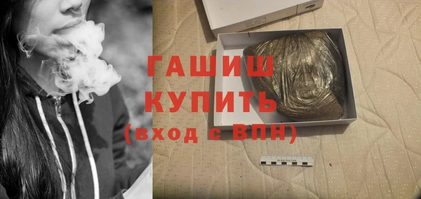 гашик Алексин